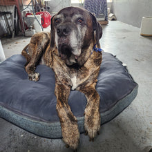 Load image into Gallery viewer, DogBrowning
